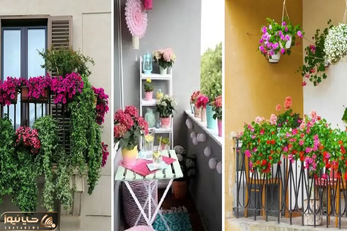 گیاهانی آپارتمانی که تو سرما هم دوام میارن؛ ایده هایی برای یه تراس سبز تو زمستون سرد