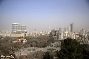 مشهد ناسالم و قرمز شد!