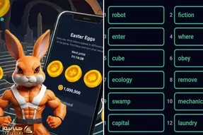 کد انیگما راکی رابیت (rocky rabbit) امروز جمعه 16 شهریور + آموزش وارد کردن