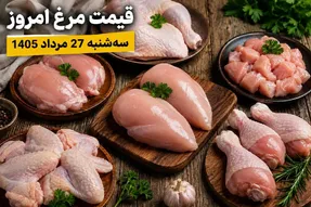قیمت مرغ امروز سه شنبه 27 مرداد 1405 / رشد 290 درصدی مرغ!