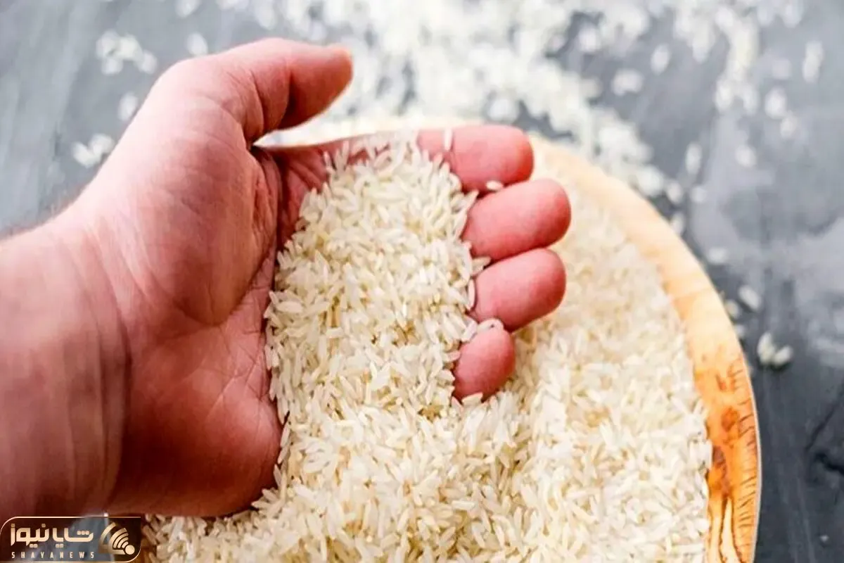 قیمت جدید برنج ایرانی در بازار چند؟