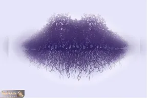 تست شخصیت شناسی تصویری؛ عجیبا غریبا بگو تو تصویر چی میبینی تا ویژگی هاتو رو کنم!