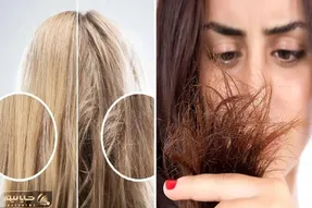 از بین بردن موخوره با سه روغن گیاهی؛ رفع چند شاخه شدن زیاده مو در 1 هفته بدون کوتاهی