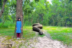 مستند حیات وحش؛ حمله مار وحشی به دختر روستایی در جنگل
