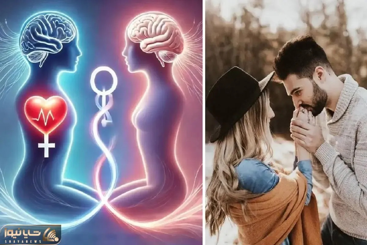 چند بار رابطه جنسی در هفته مفیده و چه زمانی میتونه مضر باشه؟ روش های بالا بردن کیفیت