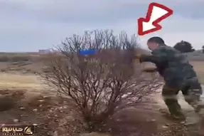 کشاورزی نوین؛ شاخه های درخت مرده رو با طناب فشرده کردن زنده شد و سرسبز خداتومن فروختن
