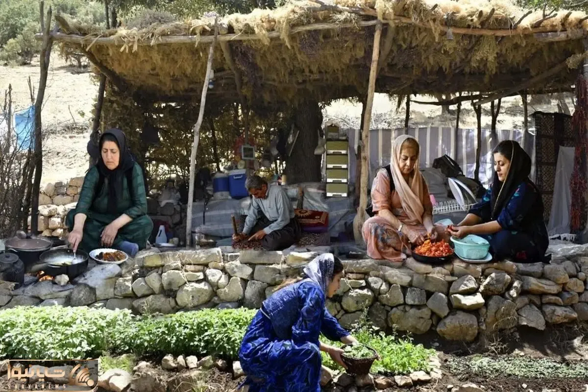 زندگی عشایری؛ پخت متفاوت گوجه بادمجان توسط زنان عشایر کردستان