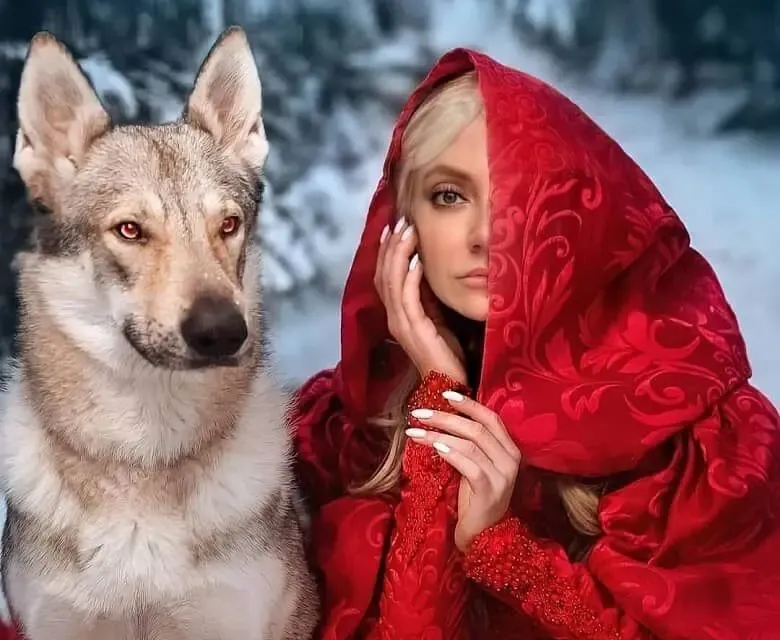 مهناز افشار با لباس سرخ در کنار سگی بزرگ!