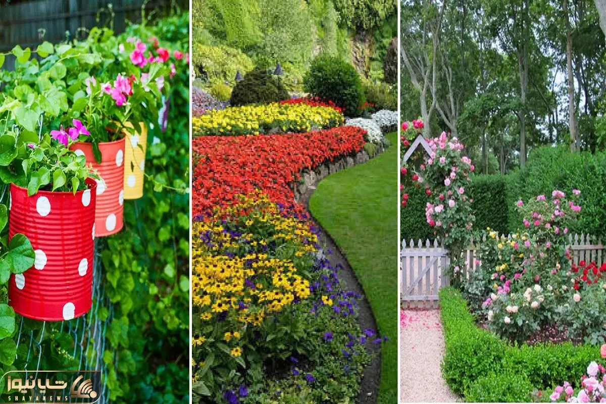 بهترین گیاهان مناسب برای فضای حیاط و باغچه؛ نحوه کاشت و نگهداری در تمام ایام سال
