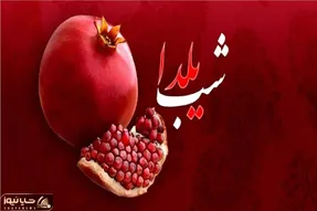 پیامک تبریک شب یلدا دوستانه/ زیباترین پیام و اس ام اس کوتاه شب چله  ۱۴۰۳