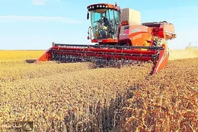 ابزارآلات غول پیکر؛ کمباین غول برای برداشت محصول خرمن کوب چنگکی غول نصب کرد