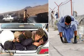 هجوم افغان های فراری از طالبان به کرمان؛ بُکشم ولی ببر حتی تو صندوق عقب!