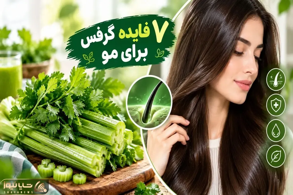 7 فایده طلایی کرفس برای شفا و درخشش مو؛ تنها خوش طعمی که مضر نیست، از رشد تا آبرسانی
