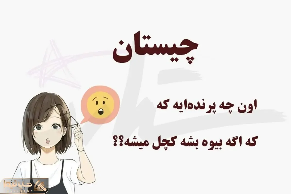 چیستان فکری؛ اون چه پرنده‌ ایه که اگه بیوه بشه کچل میشه؟؟