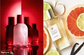 بهترین ایده 2024 برای عطرهای ماندگار قیمت مناسب / با این عطرها دل همه رو ببر
