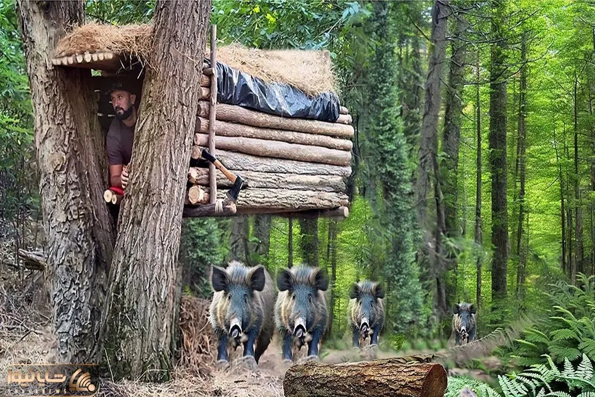 معماری خلاقانه؛ آقا برای اینکه از حمله گراز در امان باشه رو درخت یه کلبه باریک ساخت