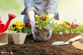 کاشت و برداشت خانگی؛ چه خاکی برای گیاهان آپارتمانی خوبه؟ بهترین ترکیب خاک رو گفتم