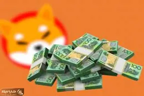 پیش بینی جنجال برانگیز قیمت شیبااینو!!