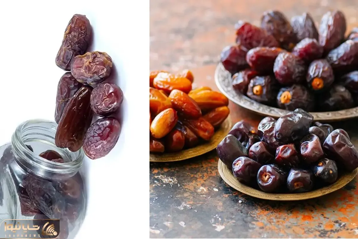 نکات کلیدی برای نگهداری از خرما / حفظ تازگی و کیفیت خرما برای مدت زمان طولانی