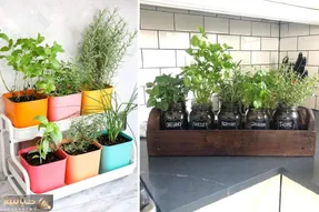 کاشت سبزی خوردن در خانه / عمو سبزی فروش سبزی کم فروشو ولش کن خودت بکار عشق کن
