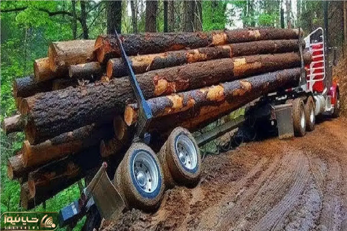 جا به جایی جانکاه؛ راننده خودش و  بارش به چخ داد