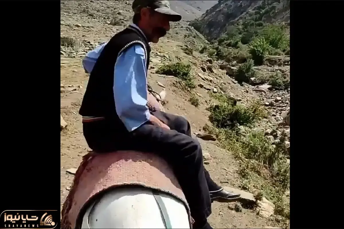 آواز محلی؛ پیرمرد یه وری سوار اسب شده و آهنگ مازندرانی میخونه فقط اونایی که پشتش میان