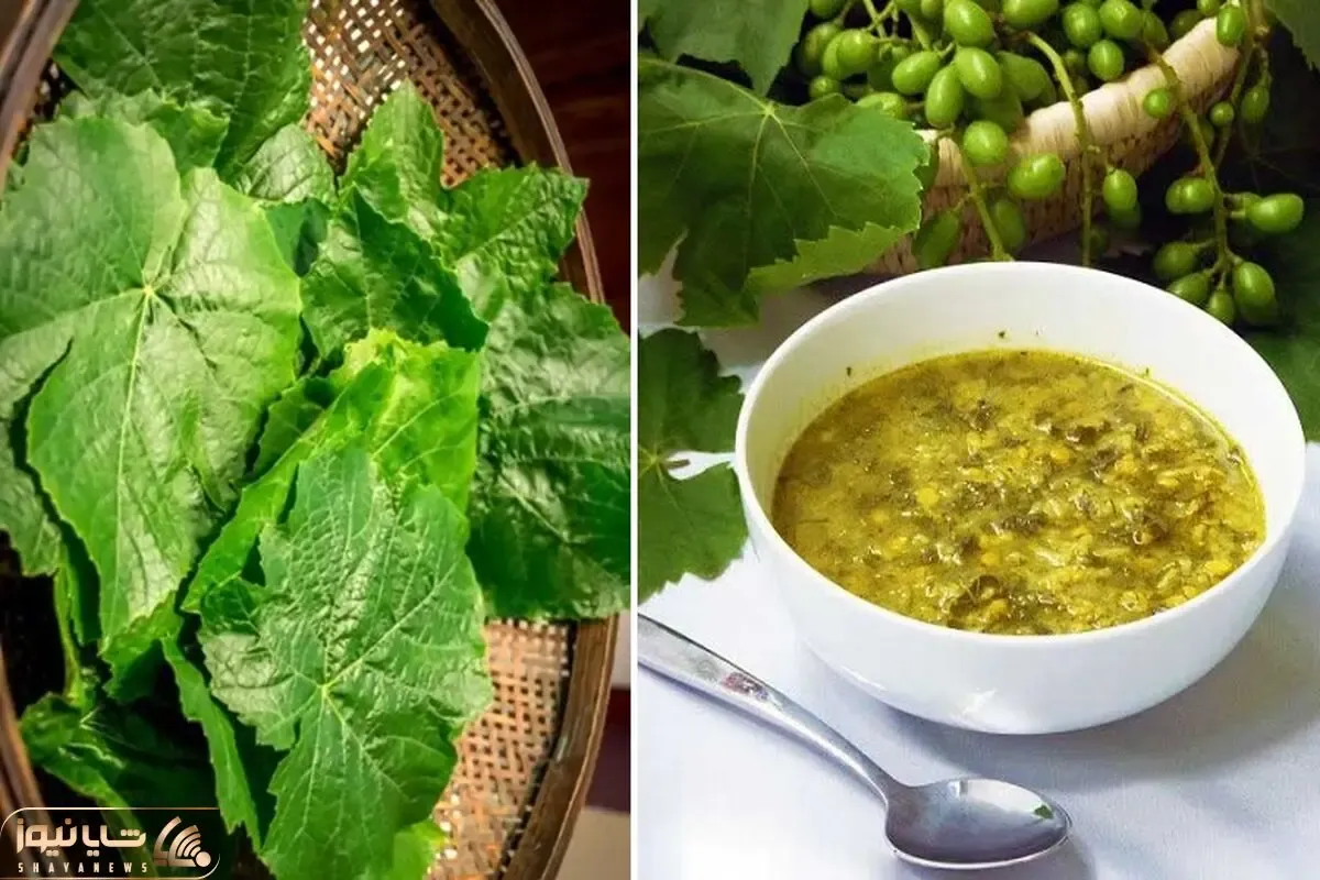 طرز تهیه آش برگ مو / طبخ آش سنتی خوشمزه به روش اصیل