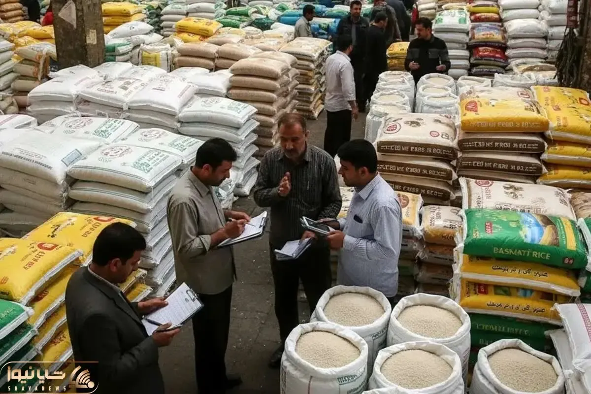 ممنوعیت ترخیص برنج در فصل برداشت دوباره برداشته شد