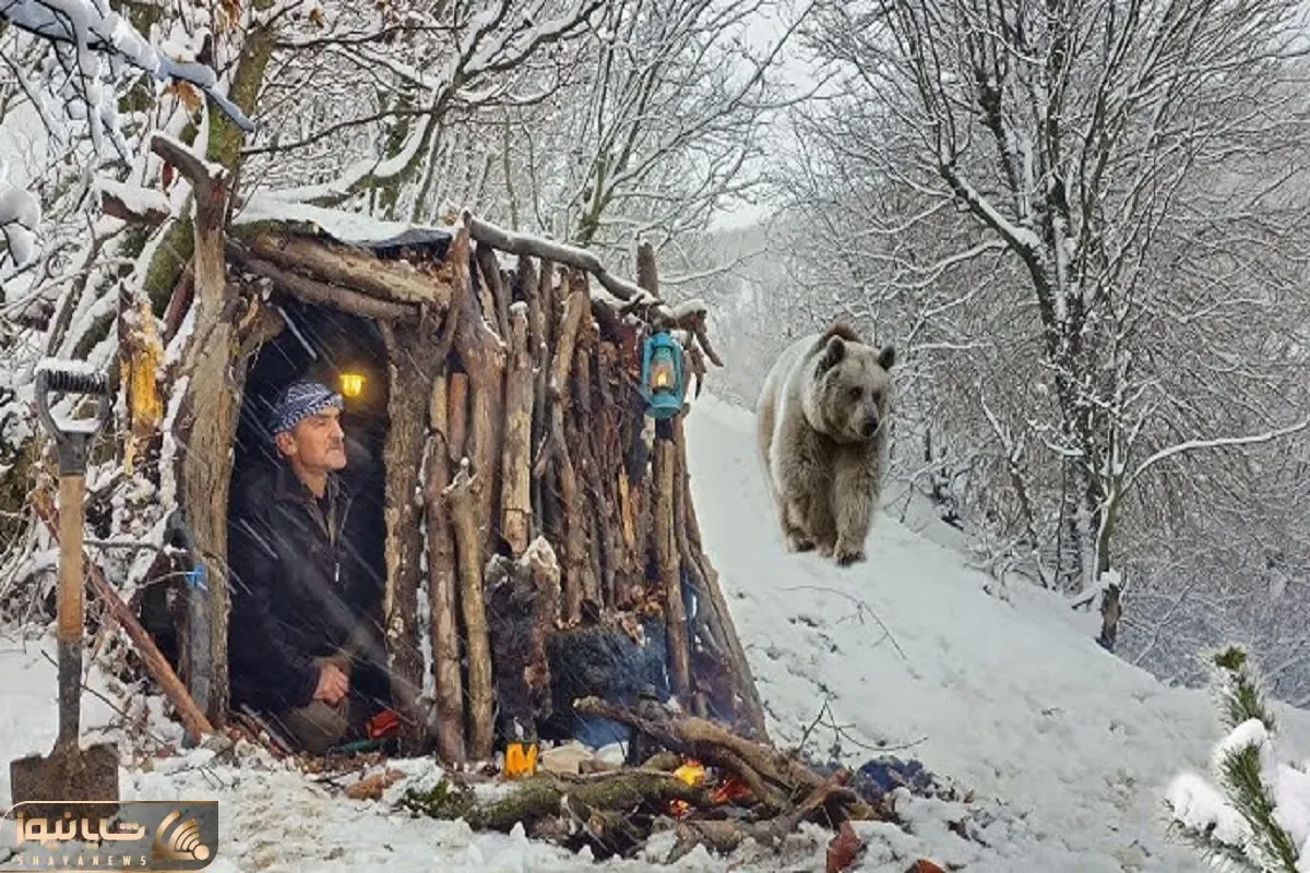 معماری خلاقانه؛ ساخت خانه چوبی جنگلی در زمستان برای خورده نشدن توسط خرس قطبی