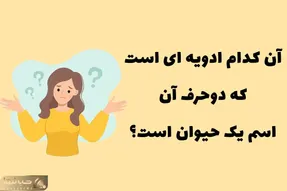 چیستان فکری؛  ادویه ای که دوحرف آن اسم یک حیوانه؟ فقط بچه زرنگا جوابشو میدونن