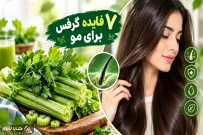 7 فایده طلایی کرفس برای شفا و درخشش مو؛ تنها خوش طعمی که مضر نیست، از رشد تا آبرسانی