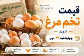 قیمت تخم مرغ امروز چهارشنبه ۳۱ تیر ۱۴۰۵؛ از دیروز تا امروز چه بر سر بازار آمد؟