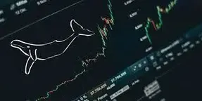 دلیل بیدارشدن نهنگ ها چیست؟
