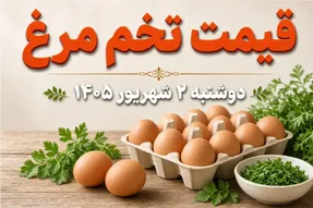 قیمت تخم مرغ امروز دوشنبه 2 شهریور 1405 / شانه 30 عددی چند؟