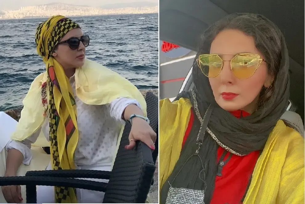 مایه داری 