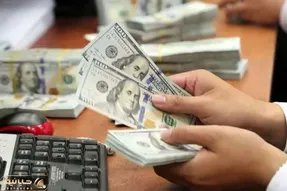 صرافی‌ها دلار با کارت ملی را چند می‌فروشند؟