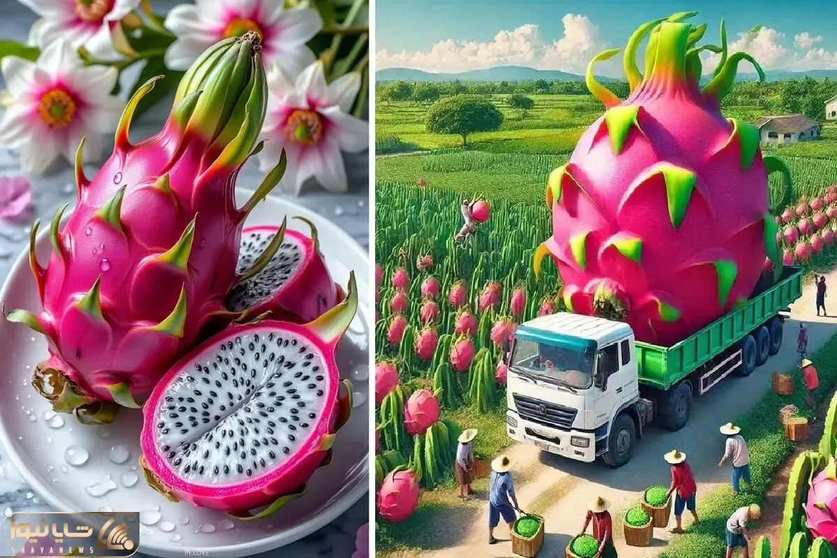کاشت و پرورش گیاه آپارتمانی دراگون؛ کافیه نیم متر خاک تو حیاط داشته باشی غول میشه