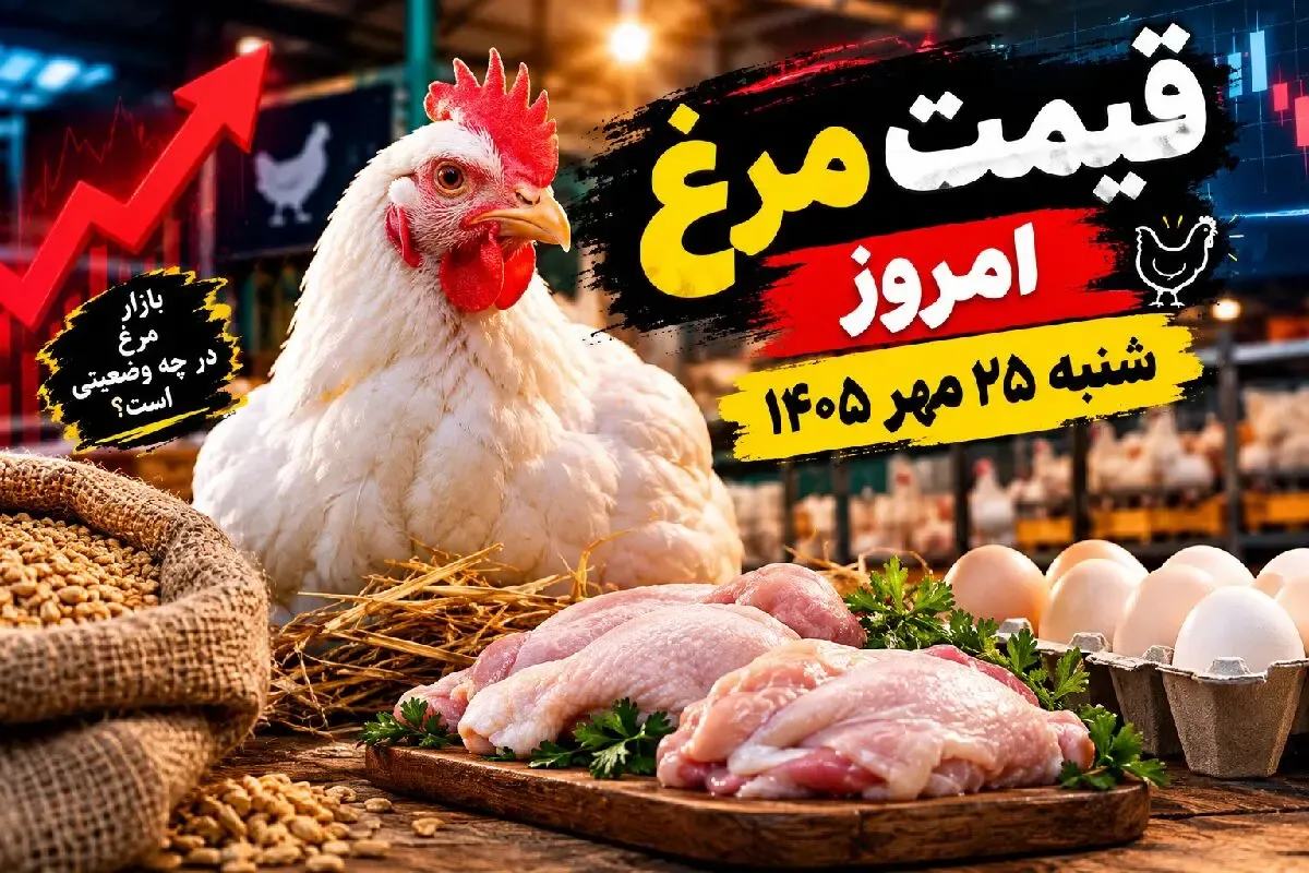 قیمت مرغ امروز شنبه 25 مهر 1405 /  مرغ کامل چقدر شد؟