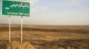 ۹۸درصد از تالاب بین‌المللی گاوخونی خشک شد