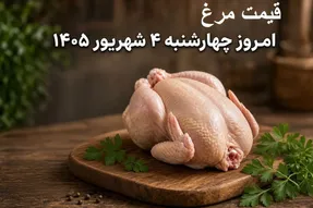 قیمت مرغ امروز چهارشنبه 4 شهریور 1405 | مرغ کیلویی چند؟