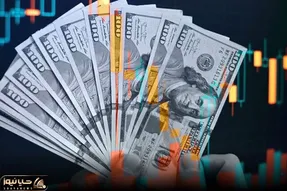 قیمت دلار توافقی امروز شنبه 4 مرداد 1404 / حواله دلار ثابت ماند