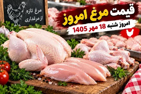 قیمت مرغ امروز شنبه 18 مهر 1405 / یک مرغ 2 کیلویی چند؟