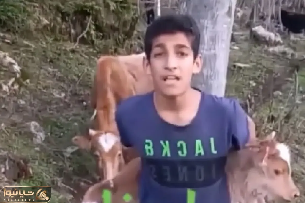 آواز محلی؛ پسرک گوساله رو پشتش گرفت وسط جنگل چه با سوز میخونه حنجره طلایی داره