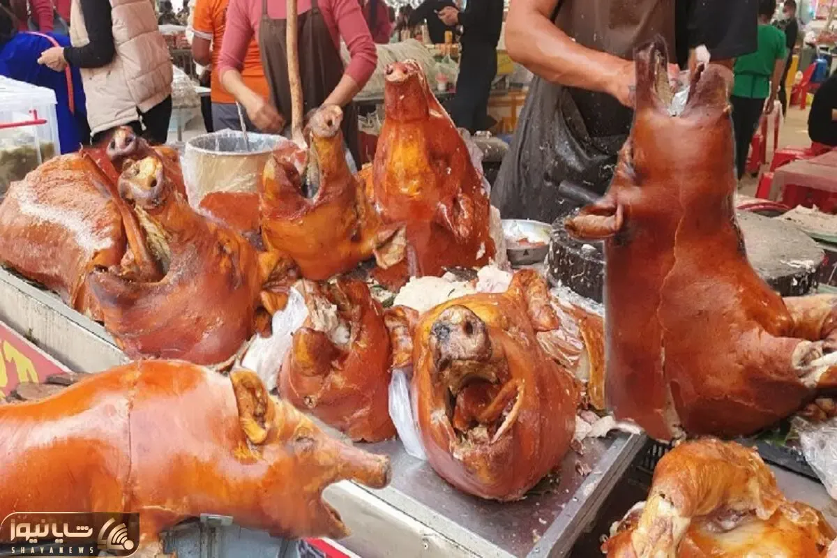 کباب سگ؛ سگ سفید نازنازی و به صلابه کشید جوشوند واسه درآمد میلیاردی به سیخ کشید
