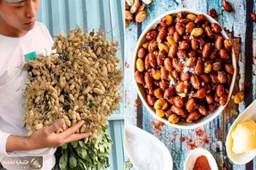 کاشت و برداشت خانگی؛ روی پشت بام خونه و یه ذره جا اینجوری مزرعه بادام زمینی درست کنید