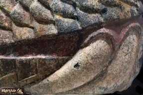 (عکس) مار غول‌ پیکری که بعد از زلزله از زمین بیرون آمد!