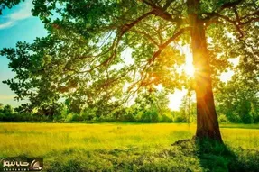 پیش‌بینی وضعیت هوای تهران در ۲۲ خرداد