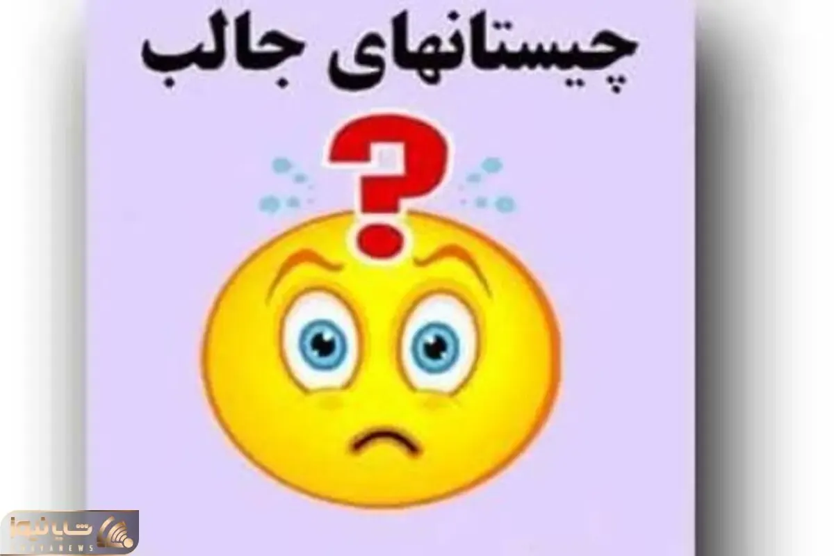 چیستان فکری؛  هم نام یک وسیله بنایی است و هم نام یک غذای خوشمزه!؟