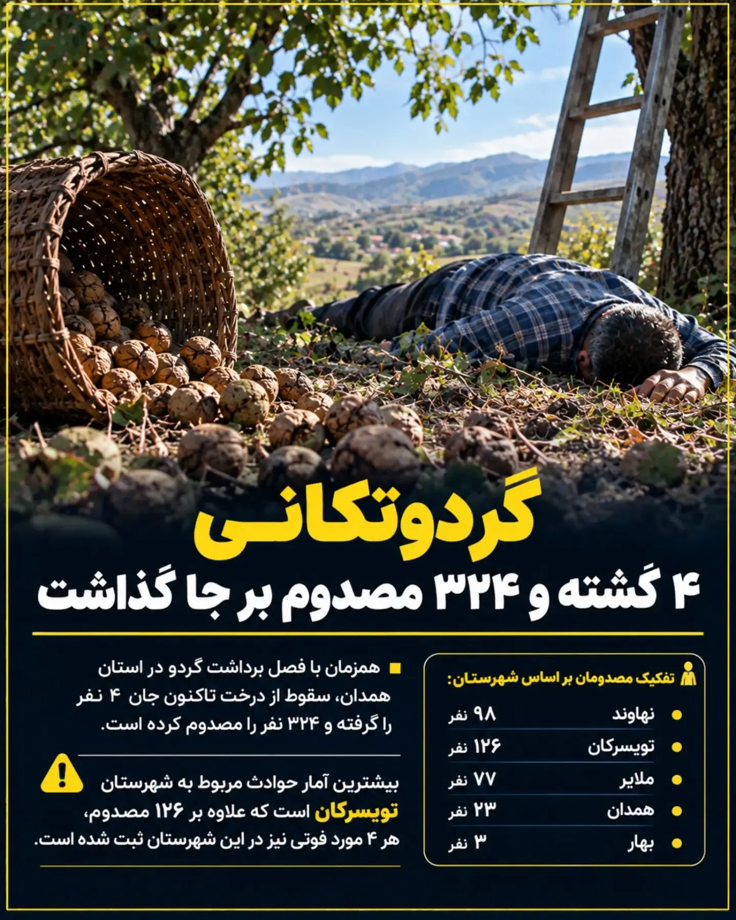 تلفات سقوط درخت گردو تلفات سقوط درخت گردو