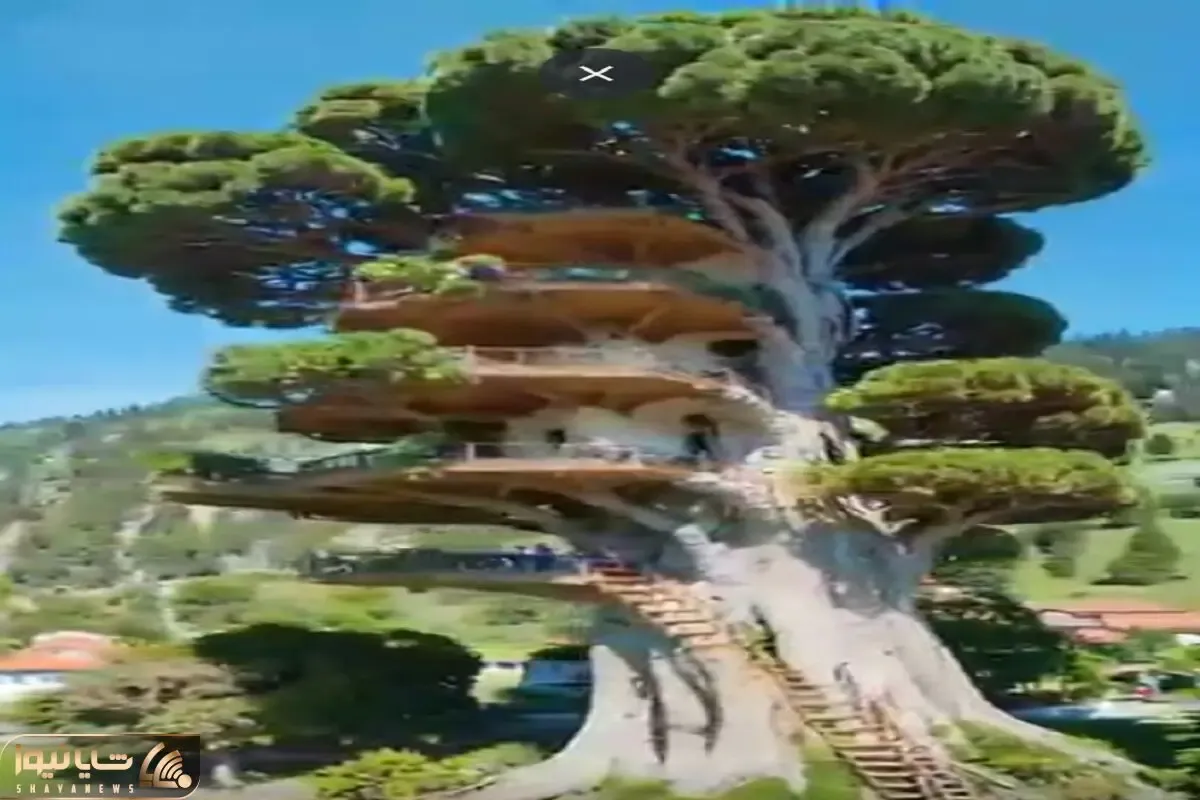 معماری خلاقانه؛ خونه درختی ساختن طبقه بالایی زندگی میکنن پایینی رستوران زدن کار میکنن